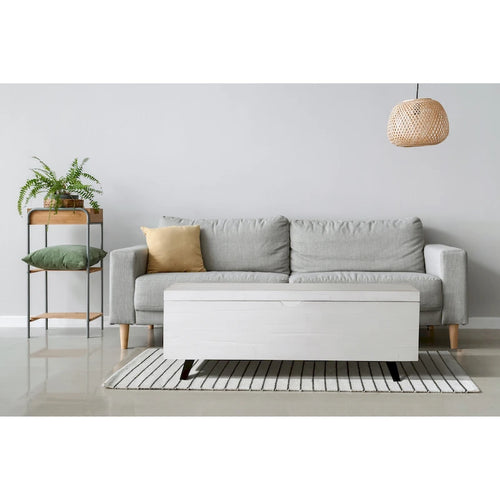Banc de rangement en bois d'acacia de 46 pouces avec couvercle à charnière marron et blanc